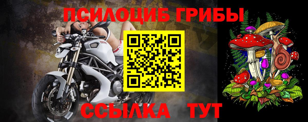 Галлюциногенные грибы мицелий Котовск