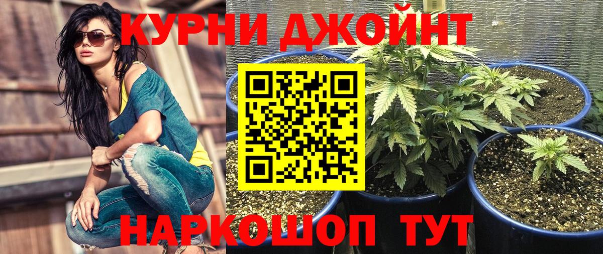 Каннабис семена Котовск